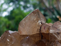 Natural Clear Citrine Quartz Cluster x 1 From Luena, Congo
