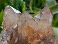 Natural Clear Citrine Quartz Cluster x 1 From Luena, Congo