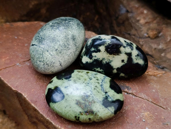 Polished Leopard Free Forms x 12 From Zimbabwe