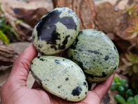 Polished Leopard Free Forms x 12 From Zimbabwe