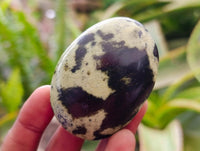 Polished Leopard Free Forms x 12 From Zimbabwe