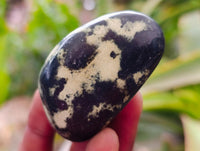 Polished Leopard Free Forms x 12 From Zimbabwe