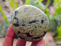 Polished Leopard Free Forms x 12 From Zimbabwe