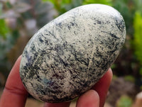 Polished Leopard Free Forms x 12 From Zimbabwe