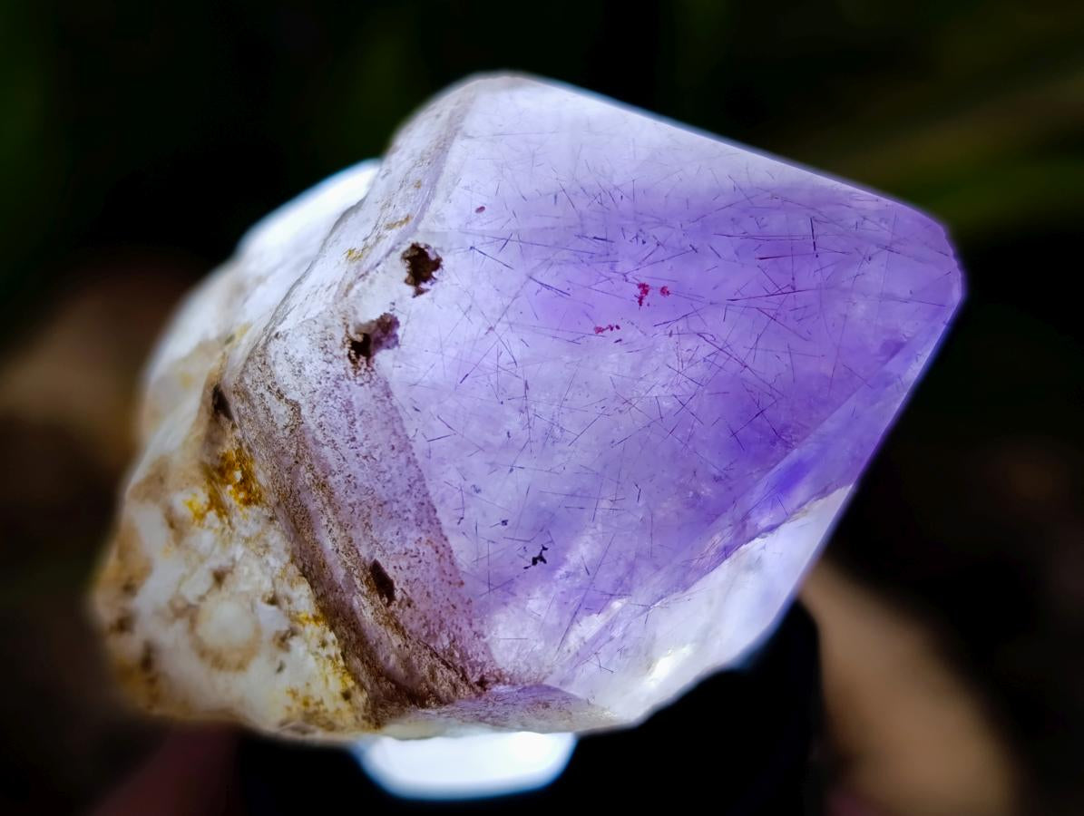 Polished Window Amethyst Crystals x 21 From Ambatondrazaka, Madagascar