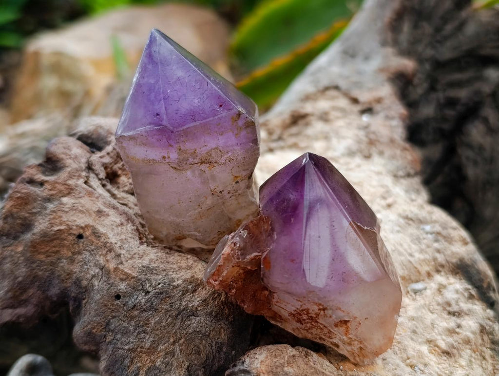 Polished Window Amethyst Crystals x 21 From Ambatondrazaka, Madagascar