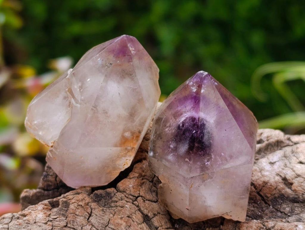 Polished Window Amethyst Crystals x 21 From Ambatondrazaka, Madagascar
