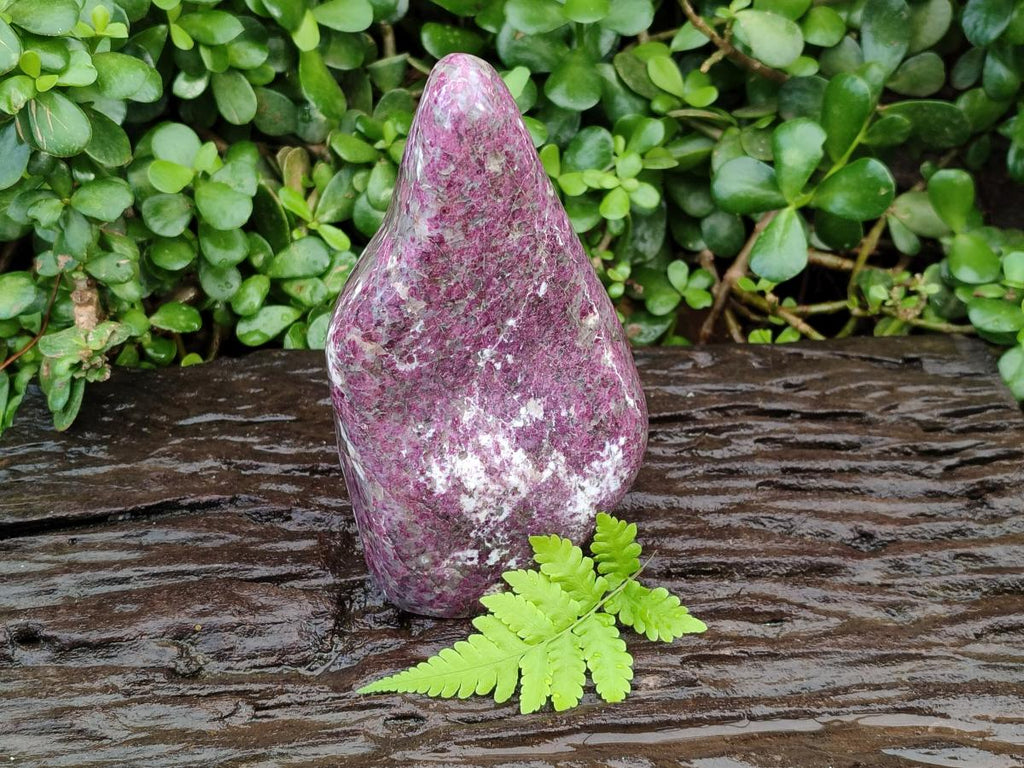 Polished Rubellite Pink Tourmaline Standing Free Form x 1 From Ambatondrazaka, Madagascar