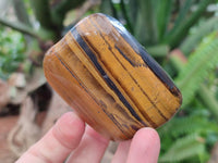 Polished Jumbo Golden Tigers Eye Free Forms x 6 From Prieska, South Africa