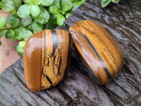 Polished Jumbo Golden Tigers Eye Free Forms x 6 From Prieska, South Africa