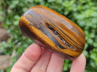 Polished Jumbo Golden Tigers Eye Free Forms x 6 From Prieska, South Africa