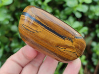 Polished Jumbo Golden Tigers Eye Free Forms x 6 From Prieska, South Africa