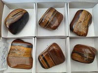 Polished Jumbo Golden Tigers Eye Free Forms x 6 From Prieska, South Africa
