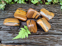 Polished Jumbo Golden Tigers Eye Free Forms x 6 From Prieska, South Africa