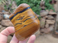 Polished Jumbo Golden Tigers Eye Free Forms x 6 From Prieska, South Africa