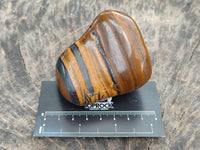 Polished Jumbo Golden Tigers Eye Free Forms x 6 From Prieska, South Africa