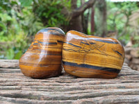 Polished Jumbo Golden Tigers Eye Free Forms x 6 From Prieska, South Africa