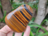 Polished Jumbo Golden Tigers Eye Free Forms x 6 From Prieska, South Africa