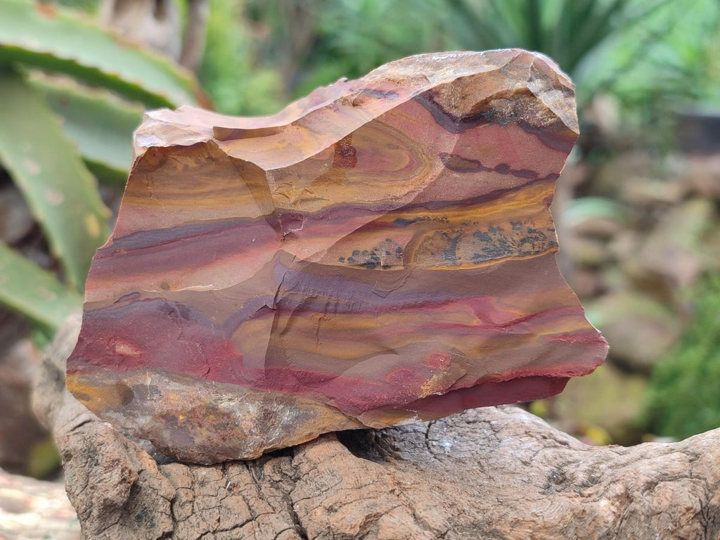 Natural Nguni Jasper Cobbed Specimens x 12 From Northern Cape, South Africa