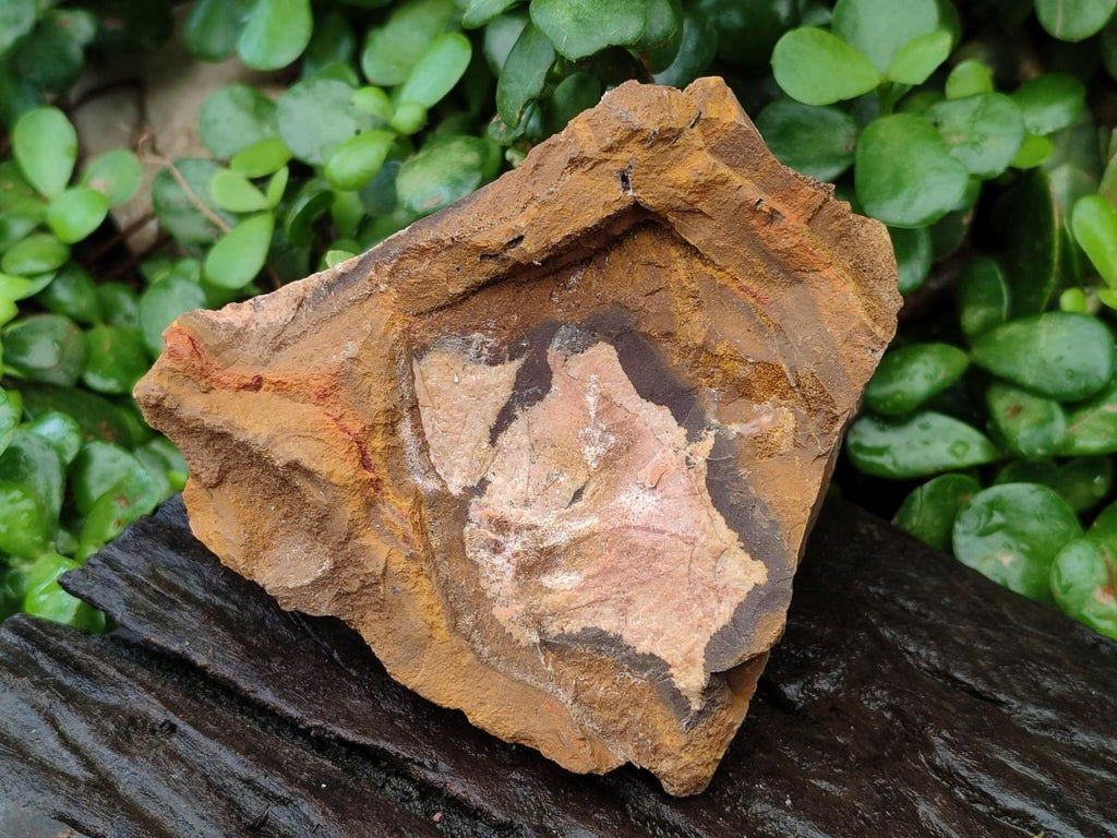 Natural Nguni Jasper Cobbed Specimens x 12 From Northern Cape, South Africa