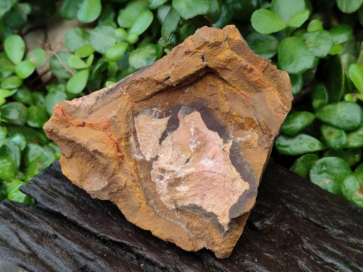 Natural Nguni Jasper Cobbed Specimens x 12 From Northern Cape, South Africa