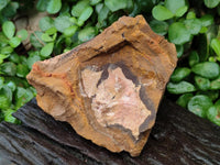 Natural Nguni Jasper Cobbed Specimens x 12 From Northern Cape, South Africa