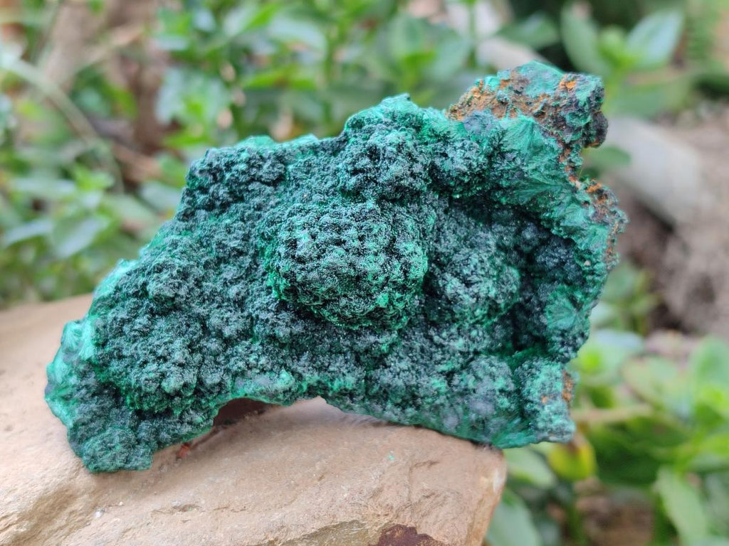 Natural Silky Malachite Specimens x 3 From Kasompe, Congo - Toprock Gemstones and Minerals 