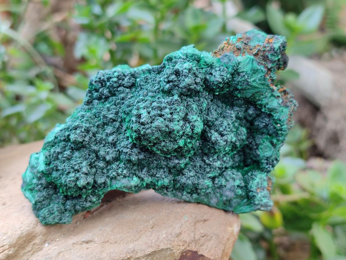 Natural Silky Malachite Specimens x 3 From Kasompe, Congo - Toprock Gemstones and Minerals 