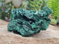 Natural Silky Malachite Specimens x 3 From Kasompe, Congo