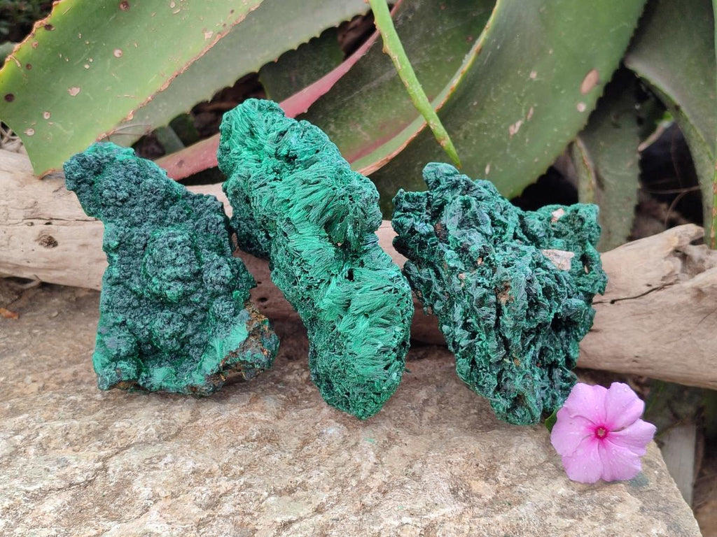 Natural Silky Malachite Specimens x 3 From Kasompe, Congo - Toprock Gemstones and Minerals 