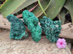 Natural Silky Malachite Specimens x 3 From Kasompe, Congo - Toprock Gemstones and Minerals 