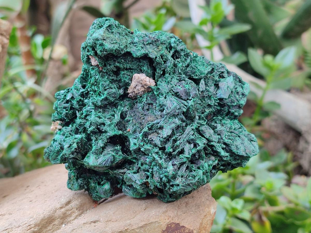 Natural Silky Malachite Specimens x 3 From Kasompe, Congo - Toprock Gemstones and Minerals 
