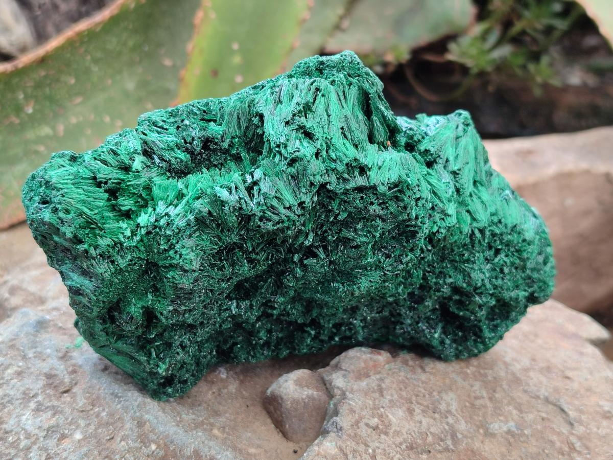 Natural Silky Malachite Specimens x 3 From Kasompe, Congo - Toprock Gemstones and Minerals 