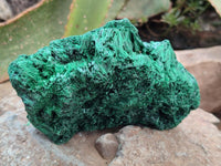 Natural Silky Malachite Specimens x 3 From Kasompe, Congo