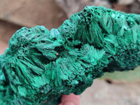 Natural Silky Malachite Specimens x 3 From Kasompe, Congo