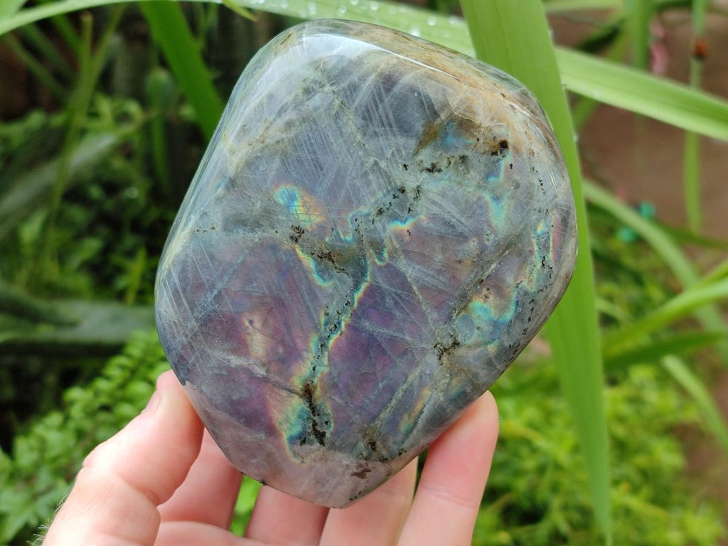 Polished Purple Flash Labradorite Standing Free Forms x 2 From Tulear, Madagascar - Toprock Gemstones and Minerals 