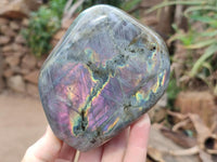Polished Purple Flash Labradorite Standing Free Forms x 2 From Tulear, Madagascar