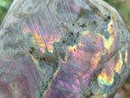 Polished Purple Flash Labradorite Standing Free Forms x 2 From Tulear, Madagascar - Toprock Gemstones and Minerals 