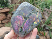 Polished Purple Flash Labradorite Standing Free Forms x 2 From Tulear, Madagascar