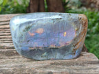 Polished Purple Flash Labradorite Standing Free Forms x 2 From Tulear, Madagascar - Toprock Gemstones and Minerals 