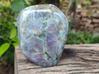 Polished Purple Flash Labradorite Standing Free Forms x 2 From Tulear, Madagascar - Toprock Gemstones and Minerals 