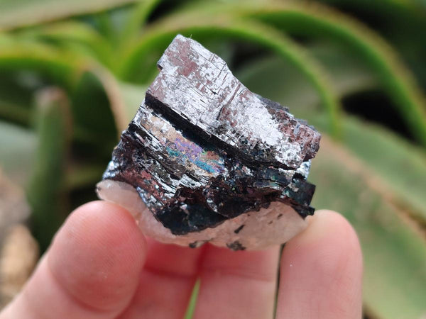 Natural Bright Silver Lead Galena Cobbed Specimens x 22 From Kaokoveld, Namibia