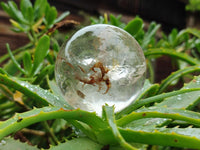 Polished Clear Quartz Crystal Balls x 4 From Madagascar