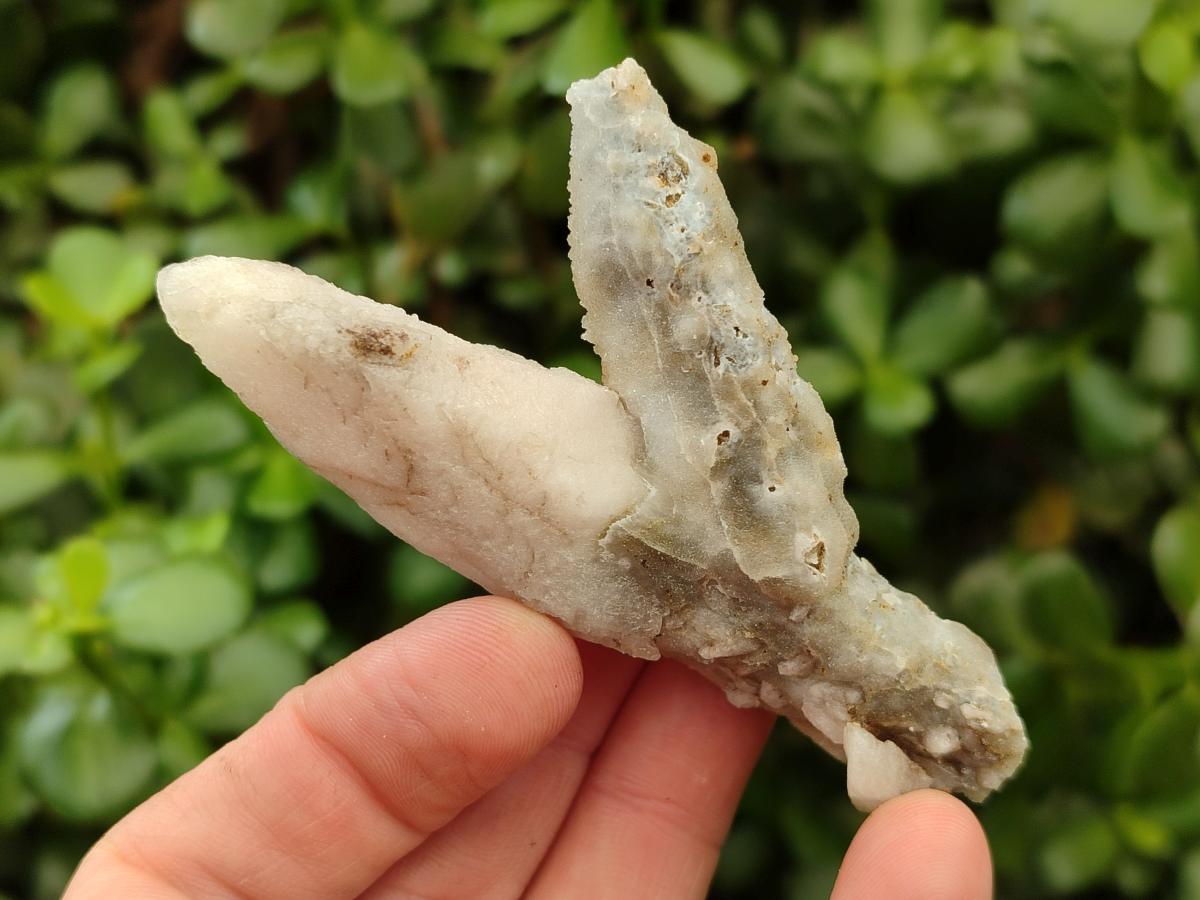 Natural Drusy Quartz Coated Spearhead Calcite Specimens x 12 From Albert's Mountain, Lesotho