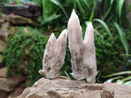 Natural Drusy Quartz Coated Spearhead Calcite Specimens x 12 From Albert's Mountain, Lesotho