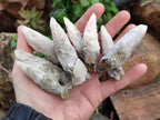 Natural Drusy Quartz Coated Spearhead Calcite Specimens x 12 From Albert's Mountain, Lesotho