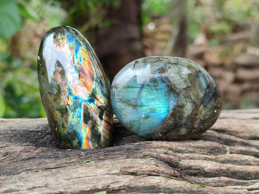 Polished Labradorite Galets x 12 From Tulear, Madagascar - Toprock Gemstones and Minerals 