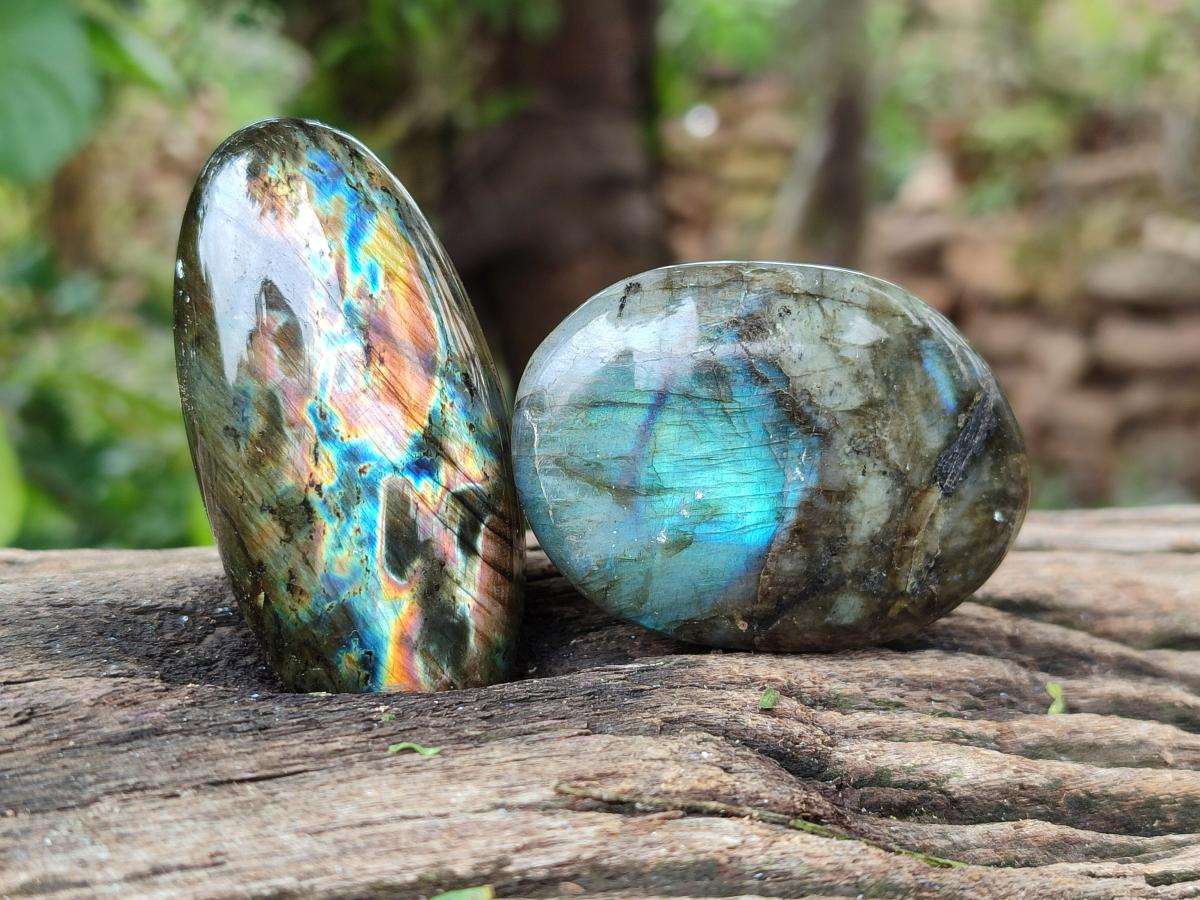 Polished Labradorite Galets x 12 From Tulear, Madagascar - Toprock Gemstones and Minerals 