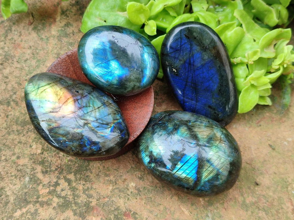 Polished Labradorite Galets x 12 From Tulear, Madagascar - Toprock Gemstones and Minerals 
