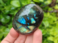 Polished Labradorite Galets x 12 From Tulear, Madagascar